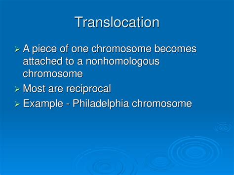 PowerLecture: Chapter ppt download