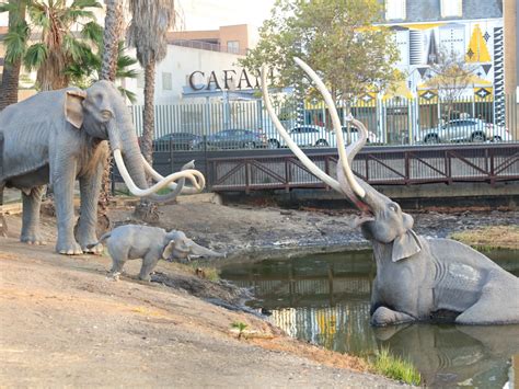 La Brea Tar Pits & Museum | Discover Los Angeles