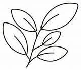 Herbs And Spices Chart coloring Page  Free Printable Coloring Pages sketch template