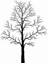 Dry Tree Drawing At GetDrawings  Free Download sketch template