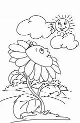 Sunflower Coloring Sheet Sheets For Young Adults sketch template