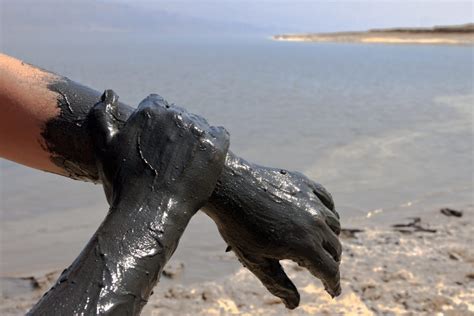 Exploring Dead Sea Mud: 10 Remarkable Facts and Applications - Dr.MUD ...