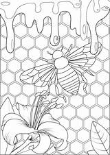 Bees And Honey  Butterflies & Insects Coloring Pages For adults sketch template