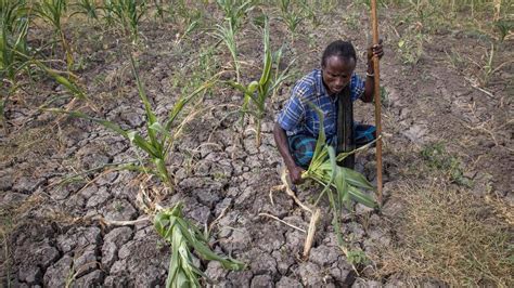 US pledges $97M to combat Ethiopia’s drought | Miami Herald