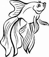 Tropical Fish Coloring Pages  Free Download Best sketch template