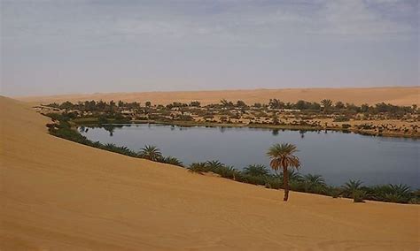 What Is An Oasis? - WorldAtlas.com