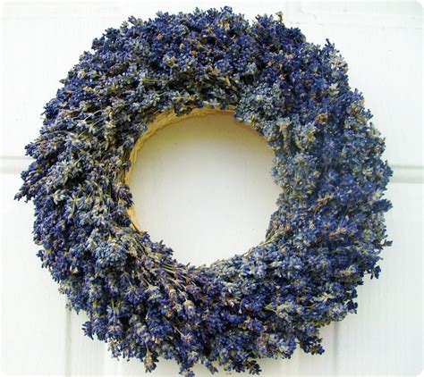 Chubby One Dried Lavender Wreath