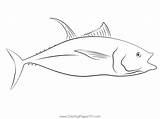 Big Tuna Fish Coloring Page For Kids  Free Printable sketch template