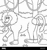 Baboon Coloring Page For Kids Stock Vector Image & Art  Alamy sketch template