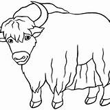 Yak Coloring Pages Printable For Free Download sketch template