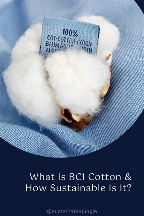 What Is BCI Cotton & How Sustainable Is It?