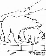 Polar Arctic Animals Coloring Pages Sketch Page sketch template