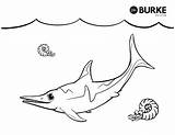 Ichthyosaurus Coloring Page sketch template