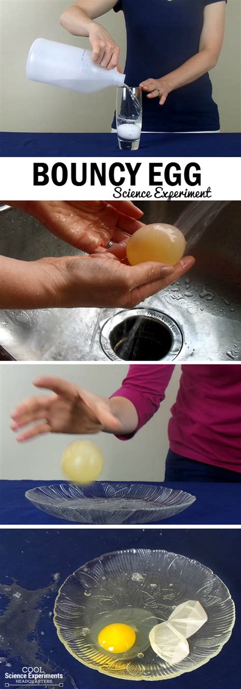 Egg in Vinegar Science Experiment - How to Make a Bouncy Egg