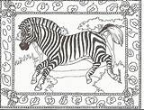 Free Printable Zebra Coloring Pages For Kids  Home sketch template