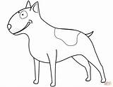 Funny Bull Terrier coloring Page  Free Printable Coloring Pages sketch template