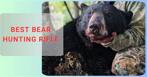 Best Bear Hunting Rifle in 2024 | [January Updated]