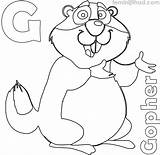 Free Gopher Coloring Pages PDF  Coloringfoldercom sketch template