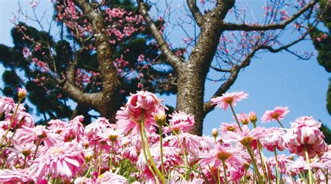 Yangmingshan National Park & Hot Springs