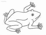 Toads Coloring Pages  ColoringBay sketch template