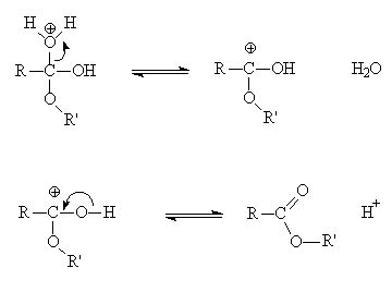 Ethyl Acetate - Molecule of the Month - March 2003 - HTML version