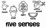 Printable Five Senses Coloring Pages For Preschool Worksheets  sketch template