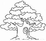Tree Coloring Pages PDF Ideas For Children  Coloringfoldercom sketch template