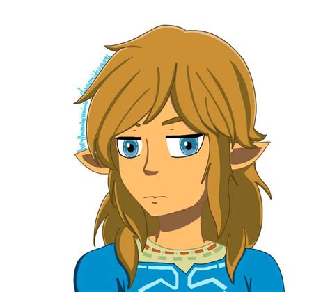 BOTW Link with his hair down by Lucymidnight96 on DeviantArt