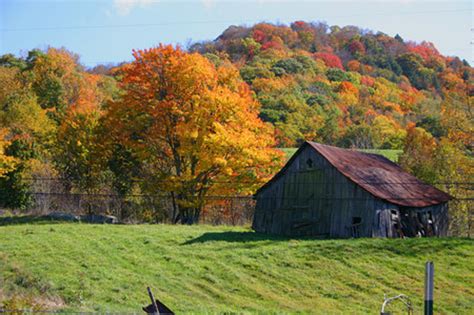 Is It Autumn? DNR Already Tracking Amazing Fall Colors in MN