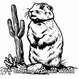 Prairie Dog Coloring Pages  Free & Printable sketch template