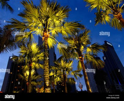 Kuala Lumpur by night with the KL-Tower at the background, Kuala Lumpur, Malaysia Stock Photo ...