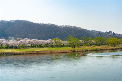 Sightseeing Boats on the Kitakami River. Tenshochi Park in Springtime Sunny Day Morning ...