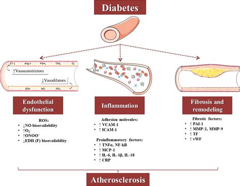 Bonus Effects of Antidiabetic Drugs: Possible Beneficial Effects on ...