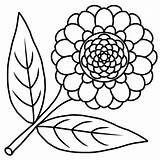 Zinnia Coloring Page sketch template