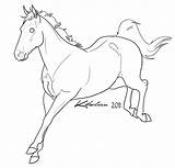 Warmblood Stallion Lineart By Amandaraquel With Images sketch template