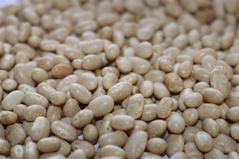 Navy Beans | Australia | The Source Bulk Foods