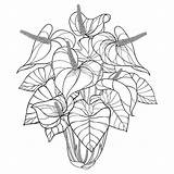 Free Plant Coloring Pages sketch template