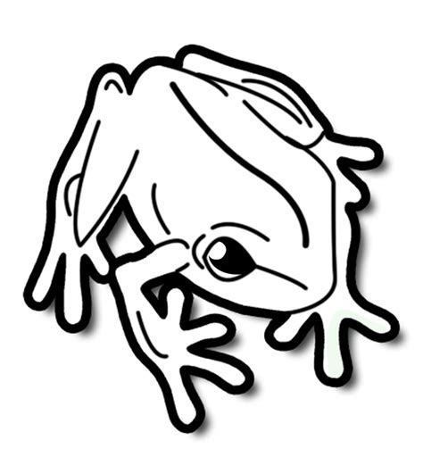 Frog Jumping Drawing | Free download best Frog Jumping Drawing on ClipArtMag.com