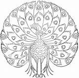 Free Printable Peacock Coloring Pages For Kids Geometric Pattern  sketch template