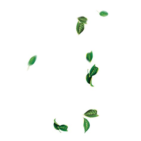 Leaf Green Tree - Falling leaves png download - 1400*1400 - Free Transparent Leaf png Download ...