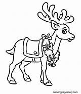 89 Free Printable Reindeer Coloring Pages sketch template