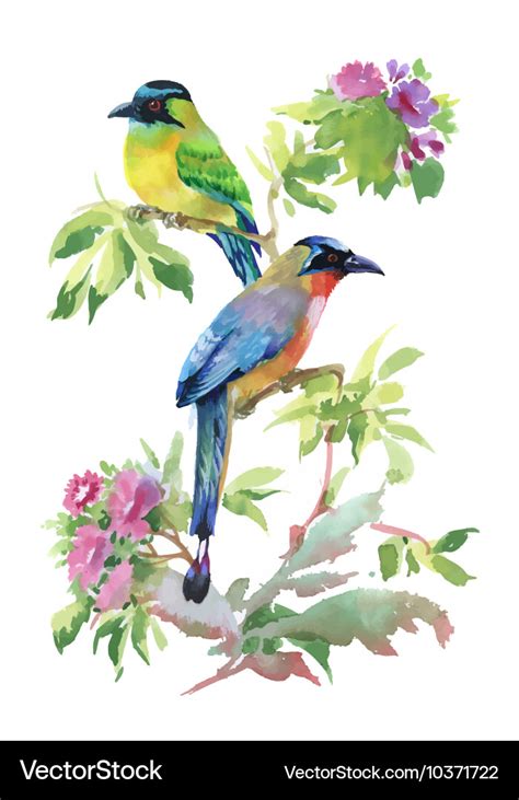 Watercolor colorful birds with leaves and flowers Vector Image