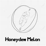 Honeydew Melon Lineart With Name For Coloring Book  sketch template