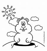 Printable Coloring Pages Of Groundhogs  Home sketch template