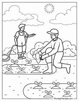 26 Farm Coloring Pages Free PDF Printables sketch template