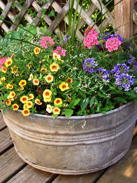 Flowers For Full Sun Heat | pot contains four types of heat tolerant annuals requiring full sun ...