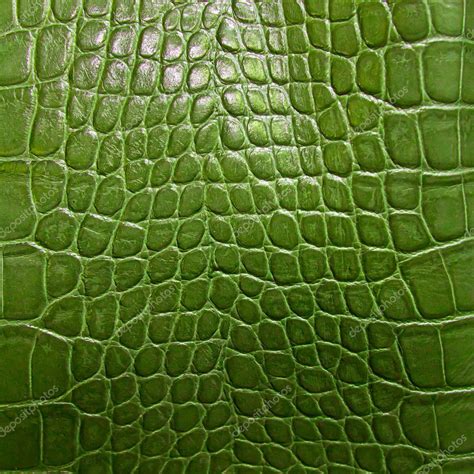 Crocodile skin texture Stock Photo by ©tungphoto 9259933