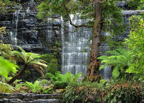 Tranquil Waterfalls of Tasmania – Viaggiatore.net