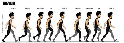 Walking Cycle #Animation | Animation walk cycle, Poses, Walking animation