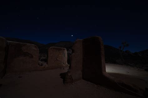 Joshua Tree by Moonlight - Richard Lewis Photography